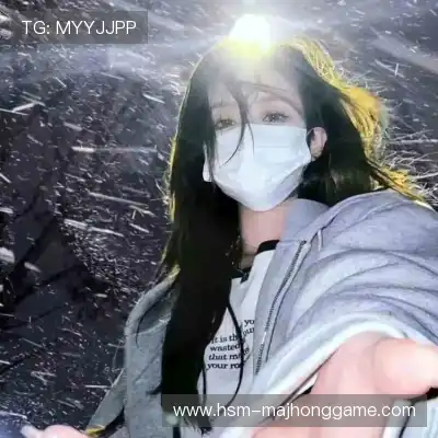 晏清飚